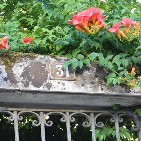 31 Rive Gauche-2